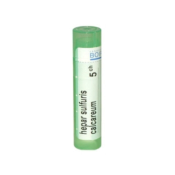HEPAR SULFURIS CALCARERM  5CH