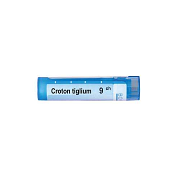 CROTON TIGLIUM 9 CH