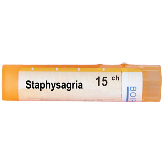 25339