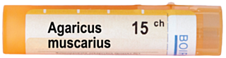 AGARICUS MUSCARICUS 15CH