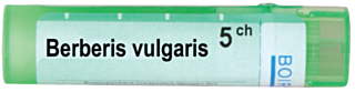BERBERIS VULGARIS 5CH
