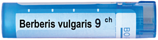 BERBERIS VULGARIS 9CH