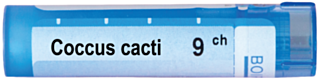 COCCUS CACTI 9CH