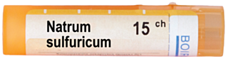 NATRUM SULFURICUM 15CH
