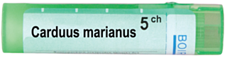 CARDUUS MARIANUS 5CH