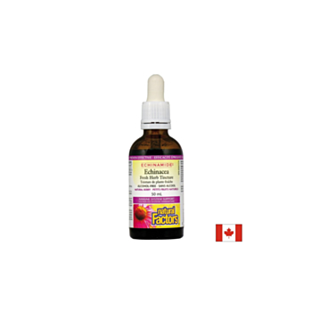 Простуда и грип Echinamide® - Тинктура с ехинацея, 50 ml (без алкохол) Natural Factors 068958047287