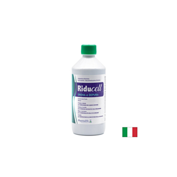 Бреза, Зелен чай и Центела – Дренаж и детокс, 500 ml