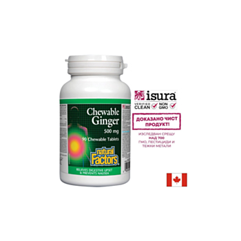 Ginger Chewable/ Джинджифил 500 mg х 90 дъвчащи таблетки Natural Factors