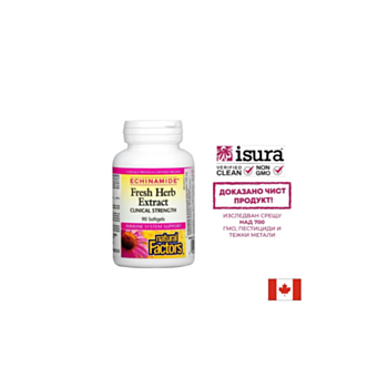 Echinamide® Fresh Herb Extract/ Ехинацея екстракт 250 mg х 90 софтгел капсули Natural Factors