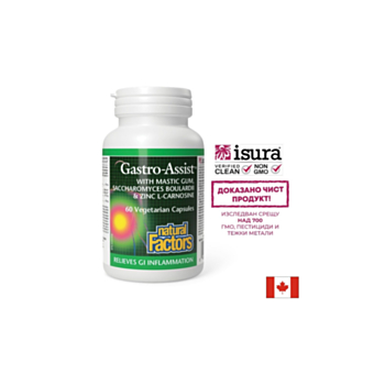 Мастикс, цинков карнозин и лайка за спокоен стомах - Gastro Assist, 60 капсули