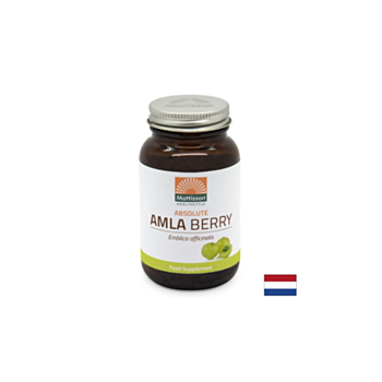 Имунитет - Амла, 500 mg x 60 капсули Mattisson Healthstyle