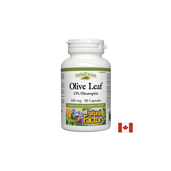 Olive Leaf / Маслина (лист) 500 mg х 90 капсули Natural Factors 068958045702
