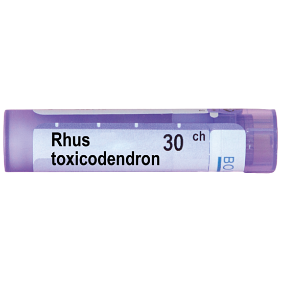 RHUS TOXICODENDRON 30CH - изглед 1