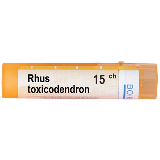 RHUS TOXICODENDRON 15CH - изглед 1