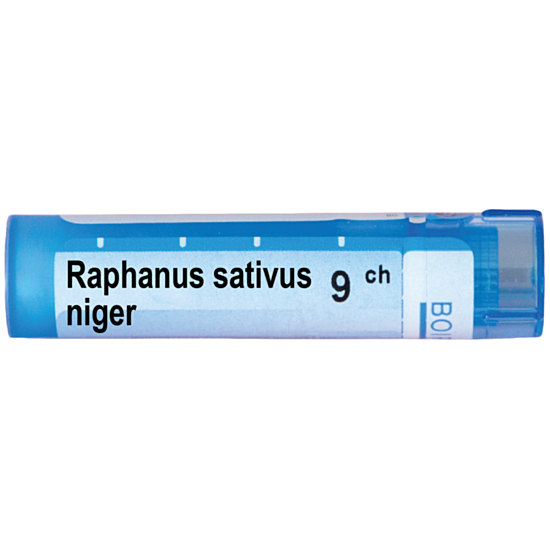 RAPHANUS SATIVUS NIGER 9 CH - изглед 1