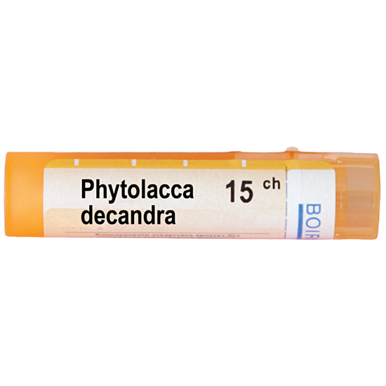 PHYTOLLACA DECANDRA 15CH - изглед 1