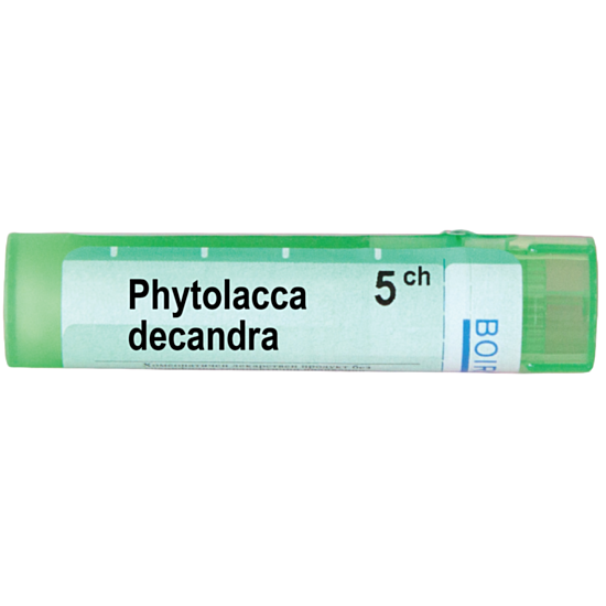 PHYTOLLACA DECANDRA 5CH - изглед 1