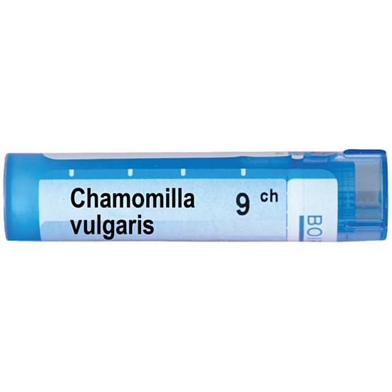 CHAMOMILA VULGARIS 9CH - изглед 1