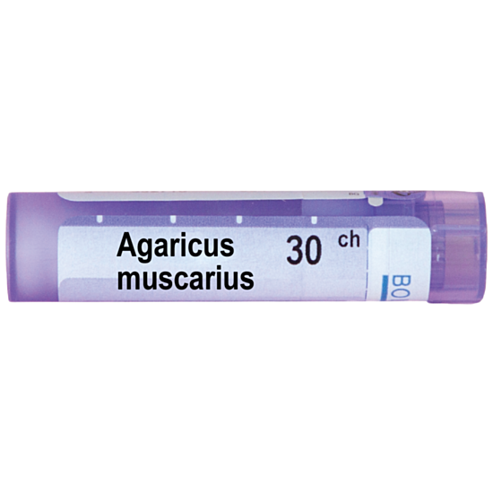 AGARICUS MUSCARICUS 30CH - изглед 1