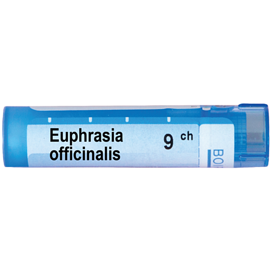 EUPHRASIA OFFICINALIS 9CH - изглед 1