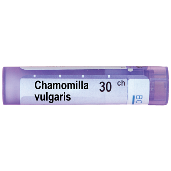 CHAMOMILLA VULGARIS 30CH - изглед 1