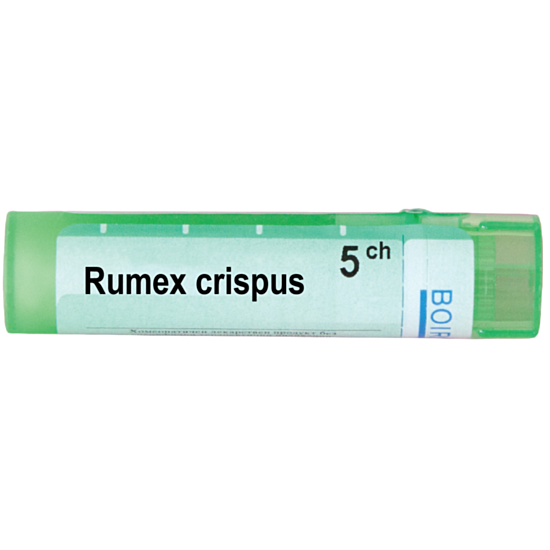 RUMEX CRISPUS 5CH - изглед 1