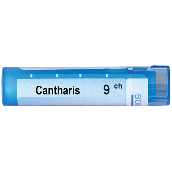 CANTHARIS 9CH - изглед 1