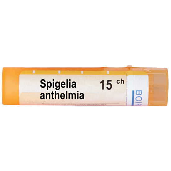 SPIGELIA ANTHELMIA 15 CH - изглед 1