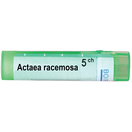 ACTAEA RACEMOSA 5 CH - изглед 1