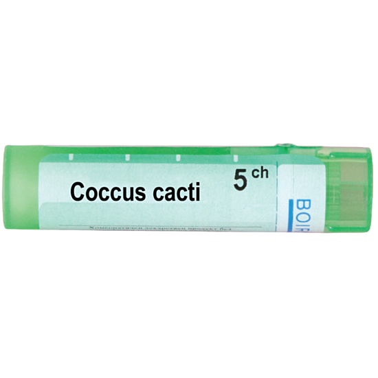 COCCUS CACTI 5CH - изглед 1