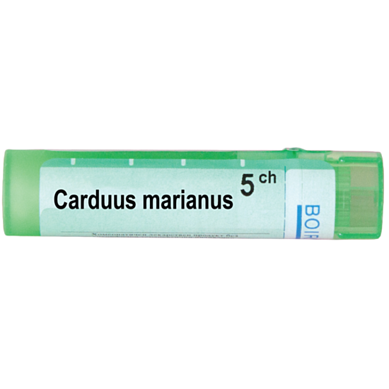 CARDUUS MARIANUS 5CH - изглед 1