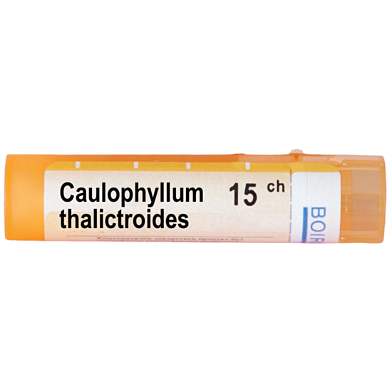 CAULOPHYLLUM THALICTROIDES 15CH - изглед 1