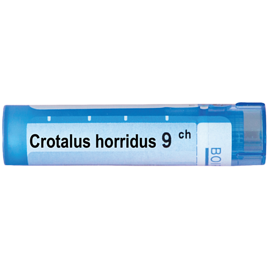 CROTALUS HORRIDUS 9 CH - изглед 1
