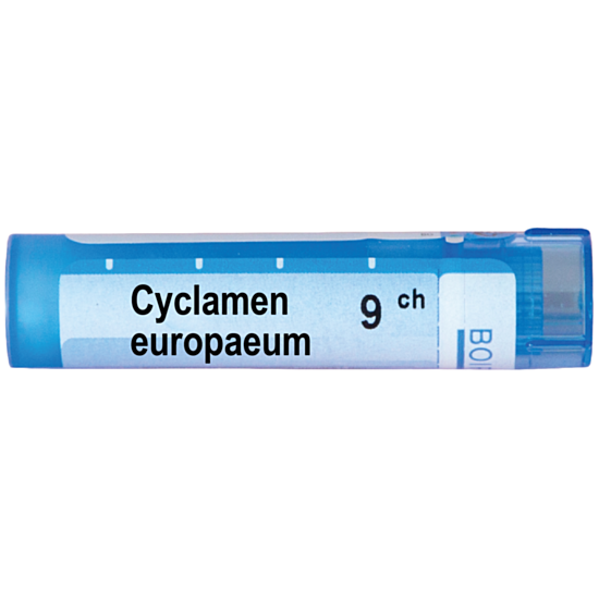 CYCLAMEN EUROPEUM 9 CH - изглед 1