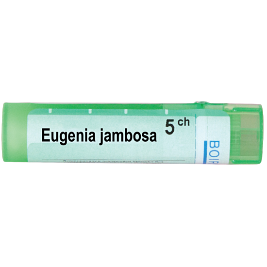 EUGENIA JAMBOSA 5 CH - изглед 1