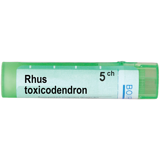 RHUS TOXICODENDRON 5CH - изглед 1