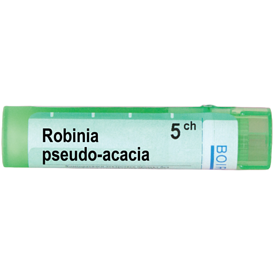 ROBINIA PSEUDO ACACIA 5 CH - изглед 1