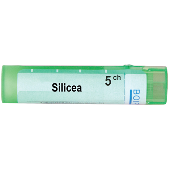 SILICEA 5CH - изглед 1