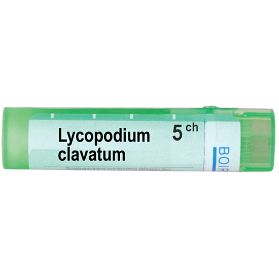 LYCOPODIUM CLAVATUM 5CH - изглед 1