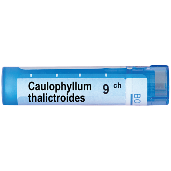 CAULOPHYLLUM THALICTROIDES 9CH - изглед 1