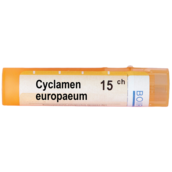 CYCLAMEN EUROPEUM 15 CH - изглед 1