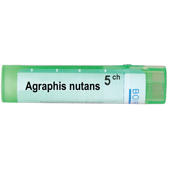 AGRAPHIS NUTANS 5CH - изглед 1