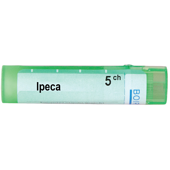 IPECA 5CH - изглед 1