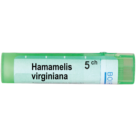HAMAMELIS VIRGINIANA 5CH - изглед 1