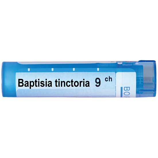 BAPTISIA TINCTORIA 9CH - изглед 1