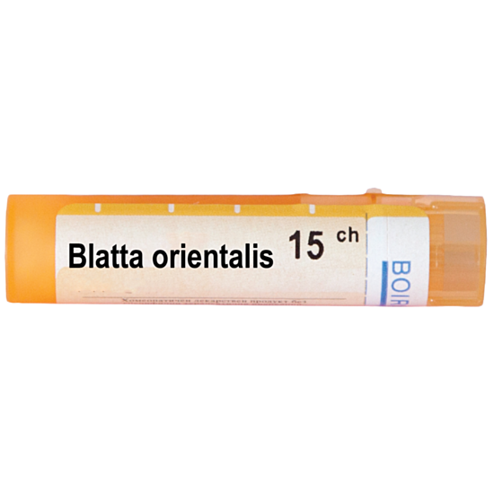 BLATTA ORIENTALIS 15CH - изглед 1