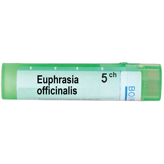 EUPHRASIA OFFICINALIS 5 CH - изглед 1