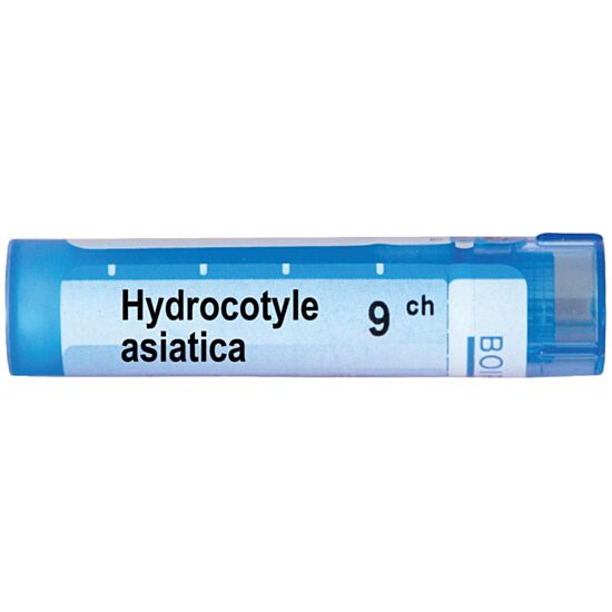 HYDROCOTYLE ASIATICA 9CH - изглед 1