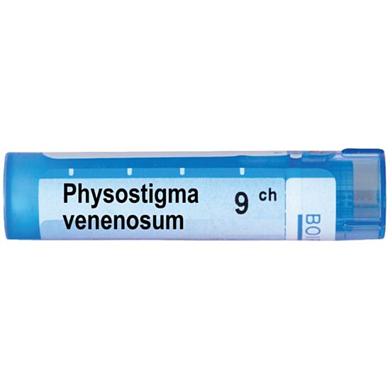 PHYSOSTIGMA VENENOSUM - изглед 1