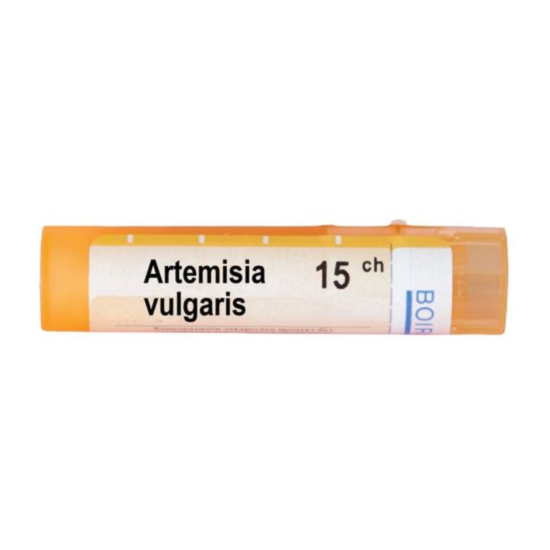 ARTEMISIA VULGARIS 15 CH - изглед 1